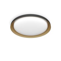 Philips Pebblo UltraEfficient stropn� sv�tidlo LED 10W 1950lm 4000K SceneSwitch CRI80 32cm kulat� IP20,�ern�