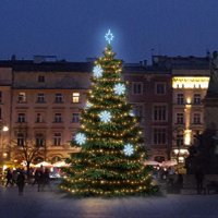 LED světelná sada na stromy vysoké 9-11m, teplá bílá s ledově bílými dekory 8EFD08 LED světelná sada na stromy vysoké 9-11m, teplá bílá s ledově bílými dekory 8EFD08