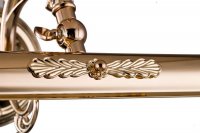 MAYTONI svítidlo na obrazy Picasso PIC114-02-G MAYTONI svítidlo na obrazy Picasso PIC114-02-G