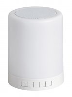 Rabalux SMART svítidlo s reproduktorem Kendall LED 2W RGB 4534 Rabalux SMART svítidlo s reproduktorem Kendall LED 2W RGB 4534