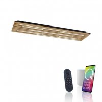 PAUL NEUHAUS LED n�st�nn� a stropn� sv�tidlo Q-AKUSTIK d�evo, p��rodn� Smarthome ZigBee 2700-5000K PN 6422-79