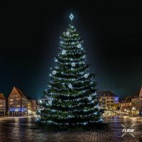 LED světelná sada na stromy vysoké 21-23m, ledová bílá s Flash, dekory 8EFD13 LED světelná sada na stromy vysoké 21-23m, ledová bílá s Flash, dekory 8EFD13