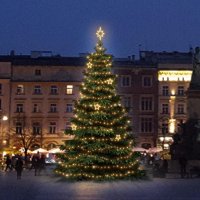 LED světelná sada na stromy vysoké 6-8m, teplá bílá s dekory EFD12W LED světelná sada na stromy vysoké 6-8m, teplá bílá s dekory EFD12W
