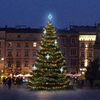 LED světelná sada na stromy vysoké 6-8m, teplá bílá s ledově bílými dekory EFD15S2 LED světelná sada na stromy vysoké 6-8m, teplá bílá s ledově bílými dekory EFD15S2