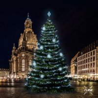 LED světelná sada na stromy vysoké 18-20m, ledová bílá s Flash, dekory 8EFD08 LED světelná sada na stromy vysoké 18-20m, ledová bílá s Flash, dekory 8EFD08