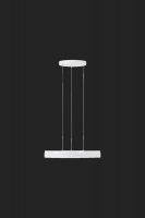 OSMONT CAR66877 CARINA LE2 z�v�sn� sklen�n� sv�tidlo b�l� IP40 4000 K 33W LED DALI