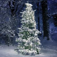 ACA Lighting V�no�n� osv�tlen� 350 LED �et�z chobotnice na strom 10 pramen� x 35 LED studen� b�l� v�. nap�jen� IP44 3m zelen� nap�jec� kabel X08350211