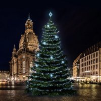 LED světelná sada na stromy vysoké 18-20m, ledová bílá s dekory EFD05 LED světelná sada na stromy vysoké 18-20m, ledová bílá s dekory EFD05