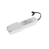 BIG WHITE (SLV) LED Driver 30 W, 700 mA 1010698