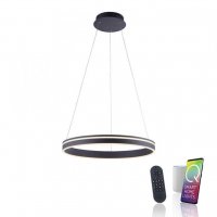 PAUL NEUHAUS Q-VITO, LED z�v�sn� sv�tidlo, Smart Home, pr�m�r 59cm ZigBee 2700-5000K PN 8411-13