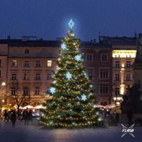 LED sv�teln� sada na stromy vysok� 9-11m, tepl� b�l� s Flash, ledov� dekory EFD05