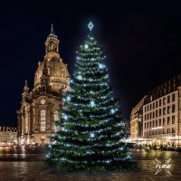 LED světelná sada na stromy vysoké 18-20m, ledová bílá s Flash, dekory EFD05 LED světelná sada na stromy vysoké 18-20m, ledová bílá s Flash, dekory EFD05