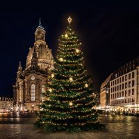 LED světelná sada na stromy vysoké 18-20m, teplá bílá s dekory EFD05W LED světelná sada na stromy vysoké 18-20m, teplá bílá s dekory EFD05W
