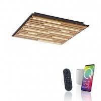 PAUL NEUHAUS LED n�st�nn� a stropn� sv�tidlo Q-AKUSTIK d�evo, p��rodn� Smarthome ZigBee 2700-5000K PN 6423-79