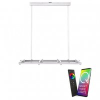 PAUL NEUHAUS Q-FISHEYE, LED z�v�sn� sv�tidlo, Smart Home RGB+2700K PN 2460-55