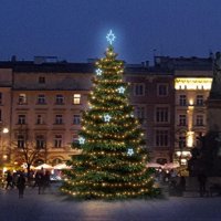 LED světelná sada na stromy vysoké 6-8m, teplá bílá s ledově bílými dekory EFD11 LED světelná sada na stromy vysoké 6-8m, teplá bílá s ledově bílými dekory EFD11