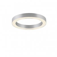 PAUL NEUHAUS LED stropn� sv�tidlo PURE Lines kulat�, metalick� �ed� (hlin�k) 2200-5000K