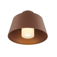 BIG WHITE (SLV) PHOTONI stropn� p�isazen� sv�tidlo, k�nick�, 1x max. 13 W, E27, rezav� 1007582