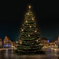 LED světelná sada na stromy vysoké 21-23m, teplá bílá s dekory 8EFD14W LED světelná sada na stromy vysoké 21-23m, teplá bílá s dekory 8EFD14W