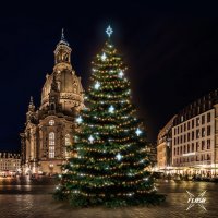 LED světelná sada na stromy vysoké 18-20m, teplá bílá s Flash, ledové dekory DZ113S4 LED světelná sada na stromy vysoké 18-20m, teplá bílá s Flash, ledové dekory DZ113S4
