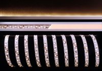 Light Impressions Deko-Light flexibiln� LED p�sek 335-2x60-12V-2700K-3m 12V DC 22,00 W 2700 K 1600 lm 3000 mm 840029