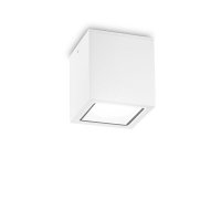 Venkovn� stropn� p�isazen� sv�tidlo Ideal Lux TECHO PL1 BIG BIANCO 251523 GU10 1x20W IP54 15cm b�l�