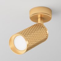 MAYTONI Stropn� sv�tidlo Focus Design C034CL-01G