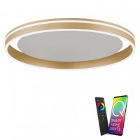 PAUL NEUHAUS Paul Neuhaus, Q-VITO, LED stropn� sv�tidlo, pr.59cm, Smart Home ZigBee 2700-5000K 8416-60