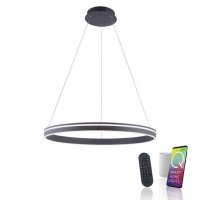 PAUL NEUHAUS Q-VITO, LED z�v�sn� sv�tidlo, Smart Home, pr�m�r 79,4cm ZigBee 2700-5000K PN 8412-13