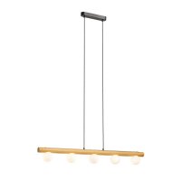 RENDL NOCTIS z�v�sn� sv�tidlo d�evo/op�lov� sklo 230V G9 5x7W R14460