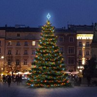 LED světelná sada na stromy vysoké 6-8m, barevná LED světelná sada na stromy vysoké 6-8m, barevná