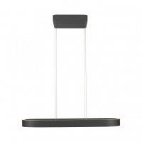 PAUL NEUHAUS LED z�v�sn� sv�tidlo Q-STRETTO, �ern�, s d�lkov�m ovlada�em ZigBee 2700-5000K