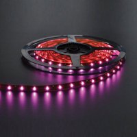 NBB LED p�sek 12V 60LED/m SMD3528 RَOV� IP33 4,8W/m 254105000