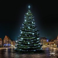 LED světelná sada na stromy vysoké 21-23m, ledová bílá s Flash, dekory EFD05 LED světelná sada na stromy vysoké 21-23m, ledová bílá s Flash, dekory EFD05