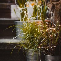 DecoLED LED světelný řetěz, 20 x 3 m, teple bílá, 600 diod DecoLED LED světelný řetěz, 20 x 3 m, teple bílá, 600 diod