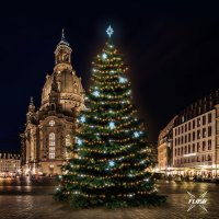 LED světelná sada na stromy vysoké 18-20m, teplá bílá s Flash, ledové dekory EFD05 LED světelná sada na stromy vysoké 18-20m, teplá bílá s Flash, ledové dekory EFD05