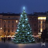 LED sv�teln� sada na stromy vysok� 9-11m, ledov� b�l� s Flash, dekory EFD05