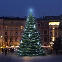 LED světelná sada na stromy vysoké 6-8m, ledová bílá s dekory EFD15S2 LED světelná sada na stromy vysoké 6-8m, ledová bílá s dekory EFD15S2