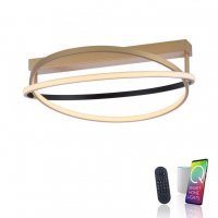 PAUL NEUHAUS Paul Neuhaus LED stropn� sv�tidlo Q-BELUGA matn� mosaz stm�vateln� Smart Home ZigBee 2700-5000K PN 6739-60