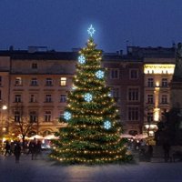 LED světelná sada na stromy vysoké 6-8m, teplá bílá s ledově bílými dekory EFD01 LED světelná sada na stromy vysoké 6-8m, teplá bílá s ledově bílými dekory EFD01