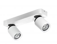 Stropn� a n�st�nn� bodov� sv�tidlo AZzardo Tomi 2 white/grey AZ0663 GU10 2x50W IP20 32cm b�lo-�ed�