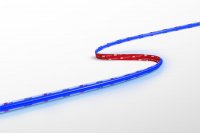 CENTURY LED p�sek ACCENTO COB 24V DC 10W/m STRIP 5m modr� IP20