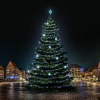 LED světelná sada na stromy vysoké 21-23m, ledová bílá s dekory EFD01 LED světelná sada na stromy vysoké 21-23m, ledová bílá s dekory EFD01