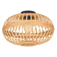 EGLO Stropn� sv�tidlo AMSFIELD 43723