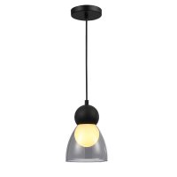 ACA Lighting závěsné svítidlo JULIETTE černá a sklo IP20 1xE27 LT1520PBK ACA Lighting závěsné svítidlo JULIETTE černá a sklo IP20 1xE27 LT1520PBK