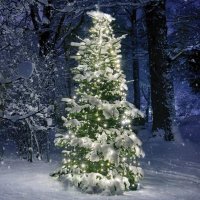 ACA Lighting Vánoční osvětlení 350 LED řetěz chobotnice na strom, teplá bílá, vč. napájení, 10 pramenů IP44, 10x350cm, zelený kabel X08350111 ACA Lighting Vánoční osvětlení 350 LED řetěz chobotnice na strom, teplá bílá, vč. napájení, 10 pramenů IP44, 10x350cm, zelený kabel X08350111