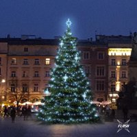 LED sv�teln� sada na stromy vysok� 9-11m, ledov� b�l� s Flash, dekory EFD15S2