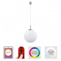 JUST LIGHT LED z�v�sn� sv�tidlo Smarthome pr�m�r 25 st��brn� stm�vateln� s aplikac� d�lkov� ovlada� Tuya RGB/2700-5000K LD 22073-55