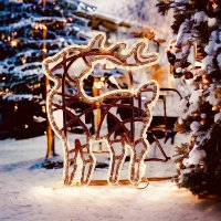 DecoLED LED sv�teln� jel�nek 47 � 64 cm, IP67, teple b�l�