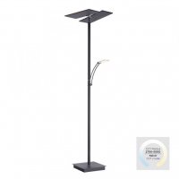 PAUL NEUHAUS LED stojac� lampa antracit, nastaviteln�, stm�vateln�, �tec� rameno, CCT pam� 2700-5000K